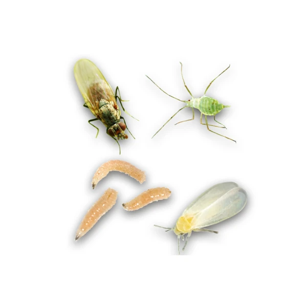 lukova-muha-i-stetnici-luka lukova-muha-i-stetnici-luka