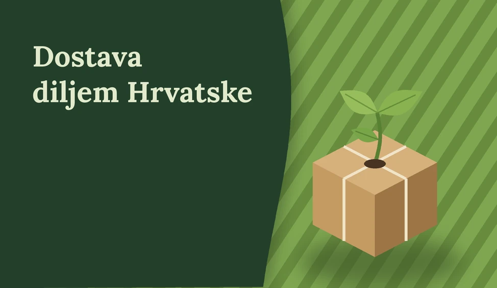 Paket24 — Najbolje stvari dolaze u paketu